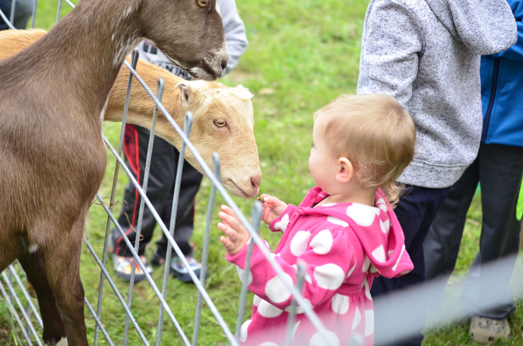 10-6-19 Prairie Loft HarvestFest (22).JPG